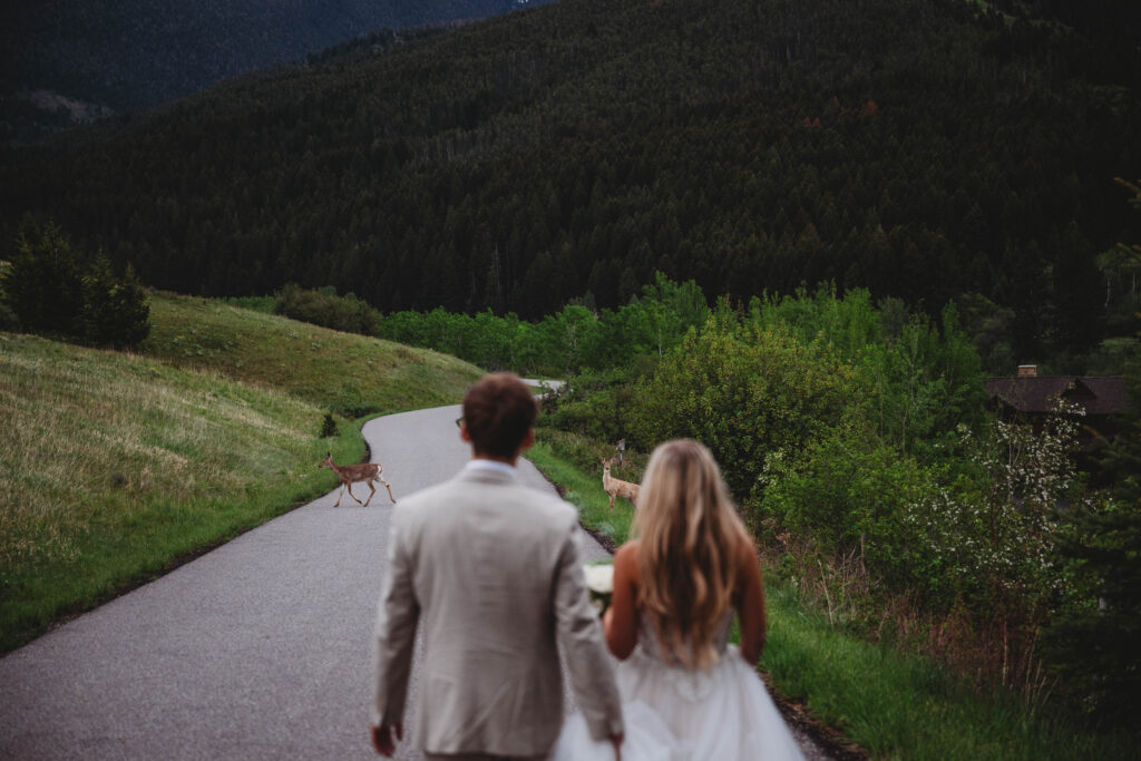 deer making a guest appearance at these wedding portraits